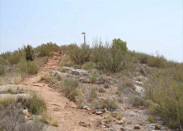 PRV241