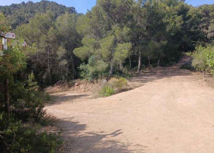 Copia de coll garrut izquierda