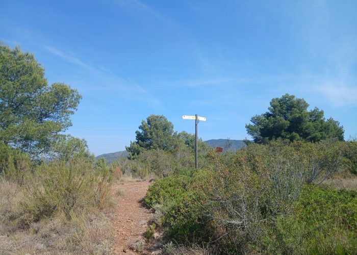 Copia de collado palmerat