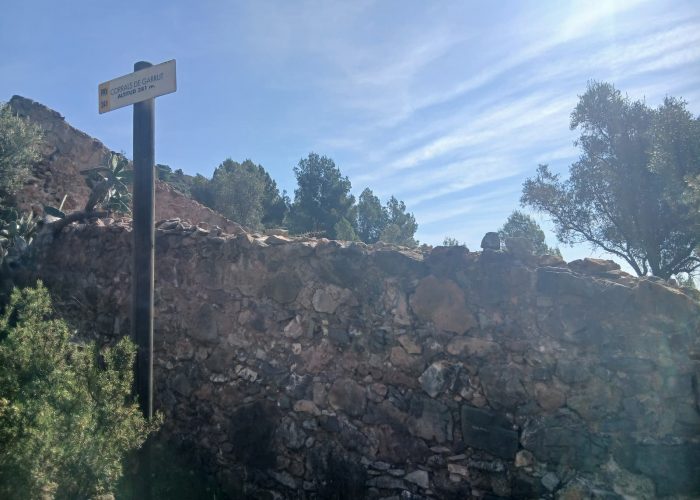 Copia de corral garrut