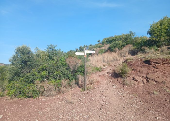 Copia de cruce penyacreus