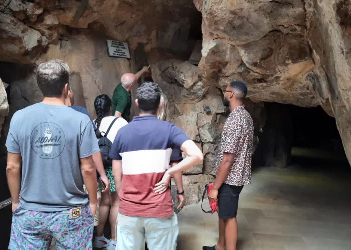 Arte Rupestre y Poblado ibérico