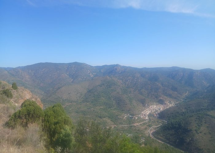 alfondeguilla