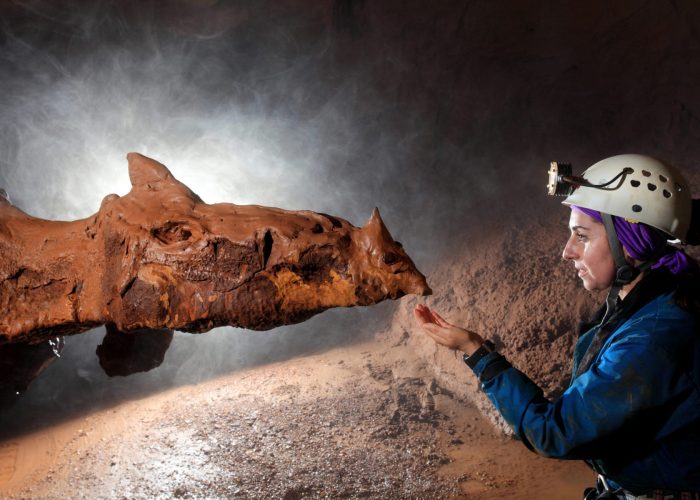Espeleologia
Endinsa't en la part no visitada a través de l'activitat "Origen".