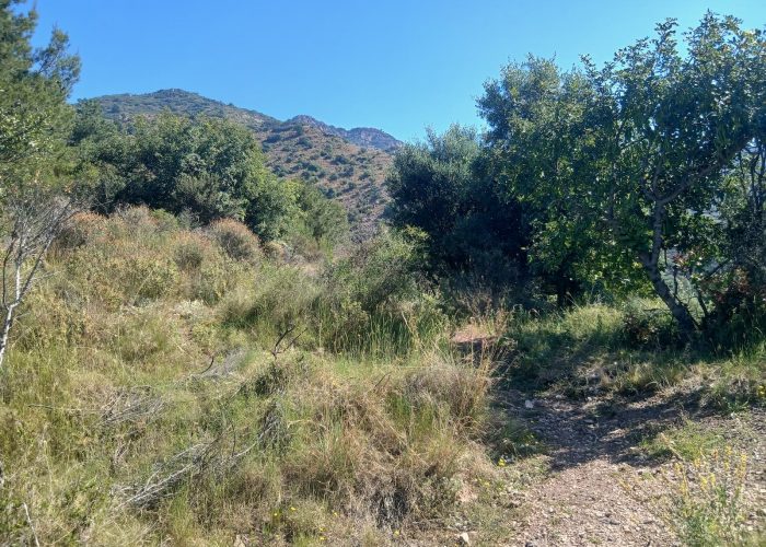 km 4.0 izquierda coll mena