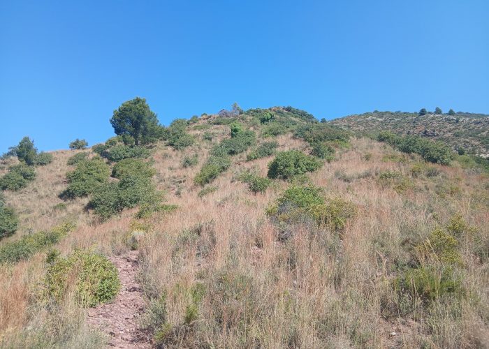 km 4.5