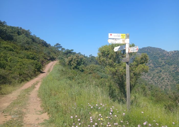 km 5.5 ereta