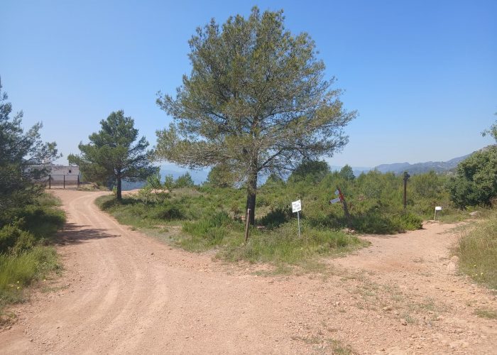 km 7 ereta o puntal
