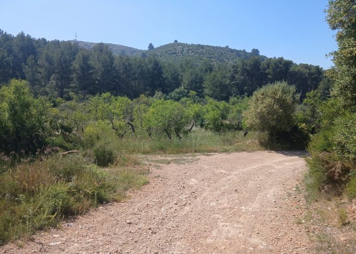 km 8.2 izquierda