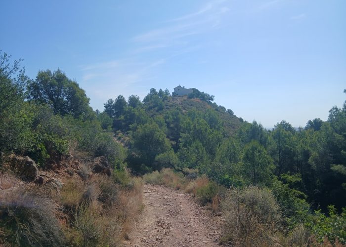san antoni